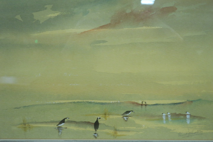 20th CENTURY Geese and Gulls Signed lower left indistinctly Watercolour 26cms x 34cms