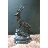 A BRONZE STAG, modelled as a red deer on a natural base raised on marble plinth.