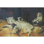 CONTINENTAL SCHOOL20TH CENTURY Cat with her kittens Signed lower left Cersok Oil on canvas 50cm X