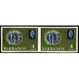 Barbados. 1965 4ct Sea Urchin unmounted mint imperforate pair, Philatelic Foundation Certificate (