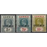 Gambia. 1905 5d, 7½d and 10d trio overprinted SPECIMEN Type D12, unmounted mint. SG 63s, 65-6s (£