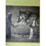 Simon Buttimore monochrome photograph on vanvas, Simon holding his horse's front leg aloft, 32 x
