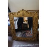 18thC Irish carved giltwood mirror with flora, fauna, shell and feather decoration