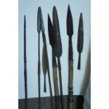 Collection of spears