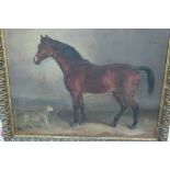 19thC English School, Bay gelding with terrier, Oil on canvas, 18 x 22 ins.