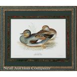 John Gould (British, 1804-1881), "Gadwall" and "Pintail Duck", 2 hand-colored lithographs, from