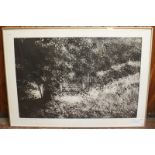 Norman Ackroyd (b1938) Sutton Mandeville - Walter's Path, Limited edition monoprint, signed numbered