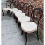 A set of six Victorian mahogany balloon back standard chairs, raised on cabriole front supports.