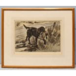 Henry Wilkinson (1921-1911) Gundog retrieving a Mallard duck from the water, Limited edition etching