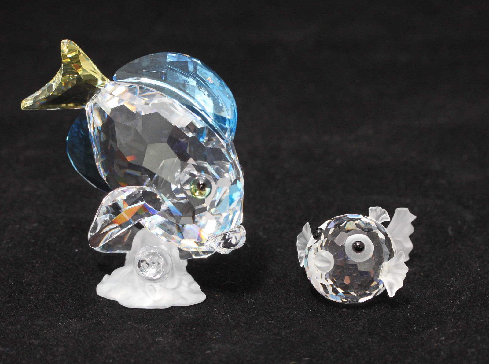 Two Swarovski crystal figures of fish, including a tropical blue tang fish and a small puffer