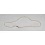 A single row of good quality cultured pearls, graduated from 3.9 mm to 7.00 mm, with pearl set