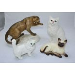 A Beswick Puma on Rock, No. 1702, together with two Beswick Persian cats and a Siamese cat (4)