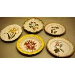 A pair of Derby botanical plates, (one broken in half) 9in (23cm) a matching oval dish, 11.5in (