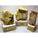 Three pieces of Jurassic petrified wood, 146 million years old, 7in (17.5cm) 6.5in (16.5cm) and