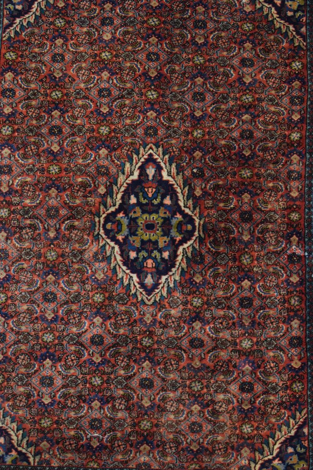 Bijar rug, north west Persia, circa 1950s, 3ft. 3in. X 2ft. 3in. 1m. X 0.69m. Small dark blue centre - Image 6 of 7