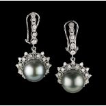 Tahitian Pearl and Diamond Earrings