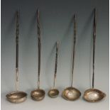 A collection of five toddy ladles, all with baleen twist handles,