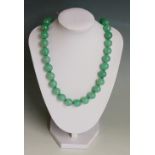 A green jadeite bead necklace of evenly sized stones with white metal beaded spacers, 30cm long,