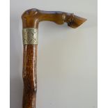 A late Victorian / Edwardian walking stick,