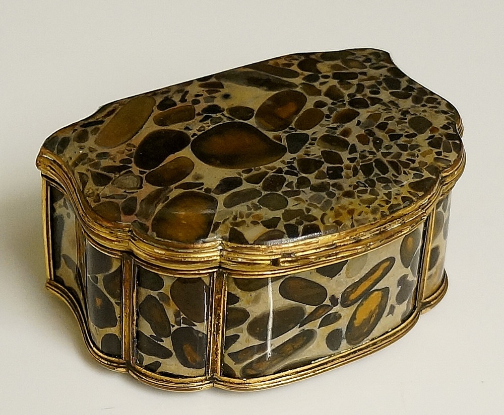 A good 19th Century fossilised hardstone box of D-shape the hinged lid and shaped front with gilt