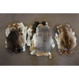 A collection of furs, mostly rabbit, var