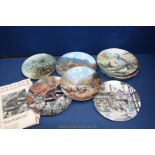 Ten display Plates including Royal Grafton Black Grouse and Red Legged Partridge and Flock of