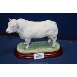 A Border Fine Arts Charolais bull,