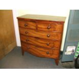 A bow fronted Mahogany chest of three long and two short drawers.
