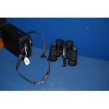 A pair of Vista Binoculars 10 x 40 in Greenkat case