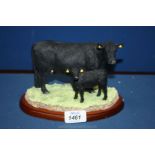 A Border Fine Arts Aberdeen Angus cow and calf,