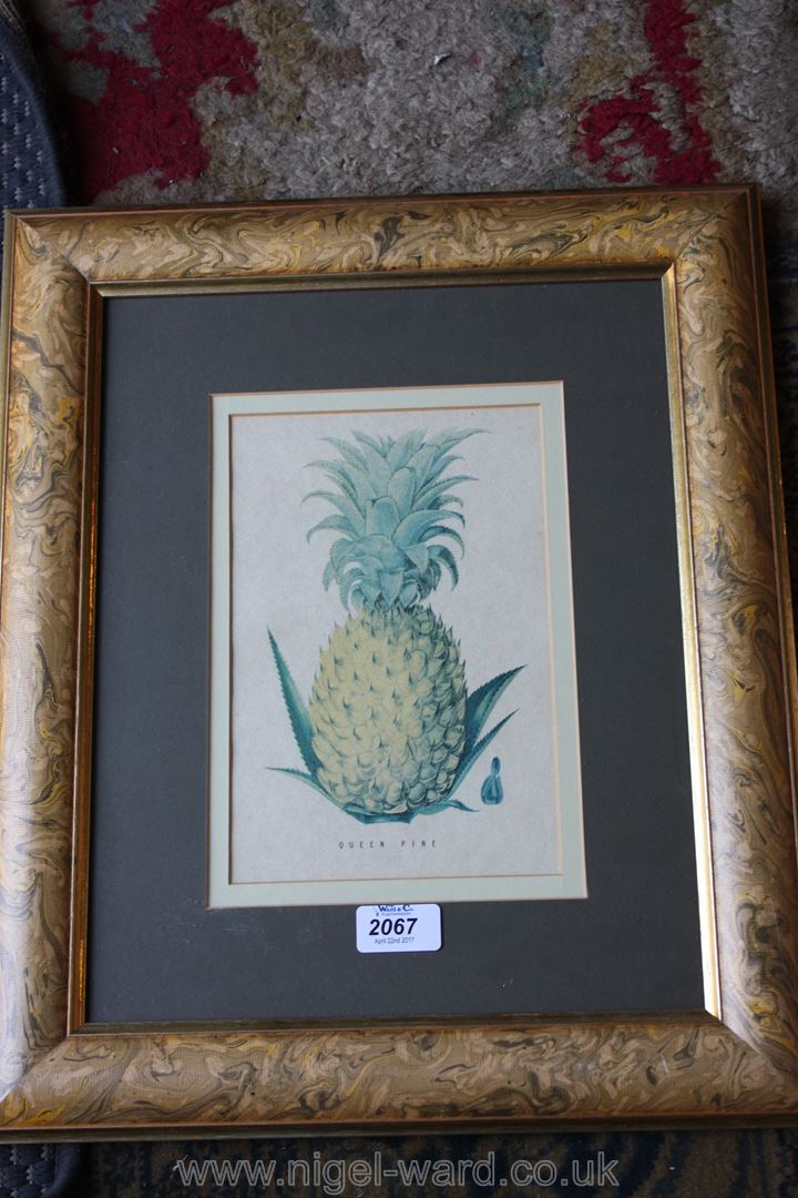 A framed Print of a Pineapple