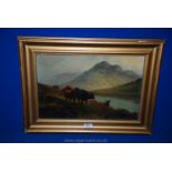 A framed Oil on canvas of Highland Cattle,