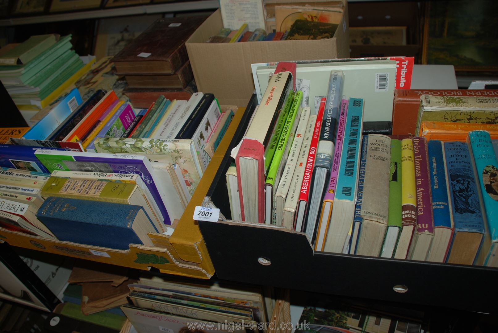 Two boxes of books inc novels etc, James Herriot, Dylan Thomas in America,
