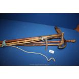 A quantity of walking Sticks including one with horse's head and a Whip