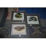 Three framed Prints including 'The Sturgeon', 'The Jaguar' and 'The Tiger'.