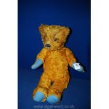 An amber coloured, straw filled, jointed Teddy Bear with sewn nose, mouth and paw markings,