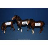 Three Beswick Horses including two bays (one with chip to ear) and a young foal with head down