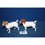 Two Beswick Jack Russell dogs,