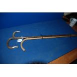 Three Walking Sticks including one with white metal collar,