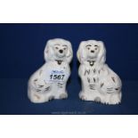 A pair of small Beswick Spaniels,