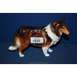 A Royal Doulton Collie/Sheepdog no HN1058
