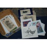 A quantity of Prints including Chicken Print, approx.