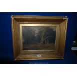 A framed Oil Painting ably depicting a woodland ride, signed lower left F.