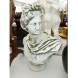 A plaster Bust of a Roman Gentleman, 13" tall.