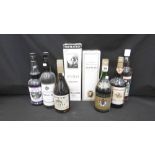 A COLLECTION OF EIGHT BOTTLES OF SPIRITS AND FORTIFIED WINE INCLUDING A 1970'S BOTTLE OF JANNEAU