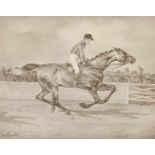 Pferde - - Quentell, Gustav. Lebens-Stadien eines Pferdes nach Zeichnungen von Gustav Quentell.