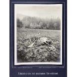 Künstlerphotographie - - Uhlenhuth, Ludwig Eduard. Jagdbilder. 10 Original-Photographien.