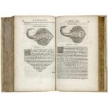 Biologie - Zoologie - - Rondelet, G. Libri de piscibus marinis, in quibus verae piscium effigies