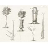 Biologie - Botanik - - Duhamel du Monceau, Henri Louis. Natur-Geschichte der Bäume darin von der