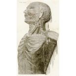 Medizin - Anatomie - - Mascagni, Paolo. Vasorum lymphaticorum corporis humani historia et